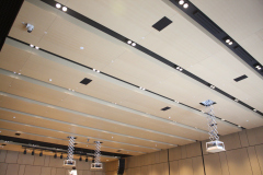 Linear Grooved Ceiling Panels