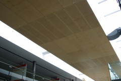 Slotted Ceiling Panels