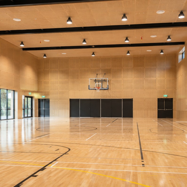 Large multi-purpose school hall featuring perforated timber acoustic wall panels, basketball courts, sports line markings, LED lighting and ceiling sprinklers